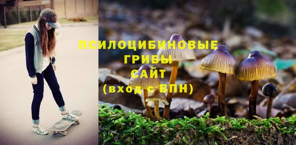 гашишное масло Нязепетровск