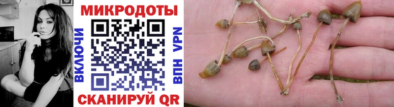 Галлюциногенные грибы мухоморы даркнет сайт Кола